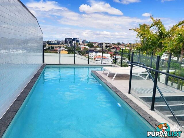 311 / 77 Jane Street West End QLD 4101