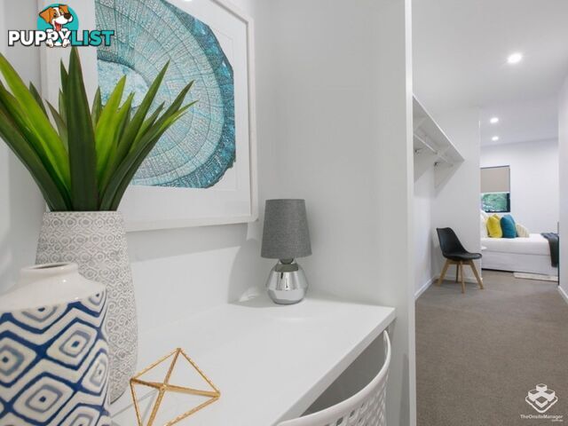 ID:21154987 31 Bombery Street Cannon Hill QLD 4170