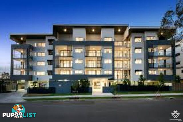 ID:21154987 31 Bombery Street Cannon Hill QLD 4170