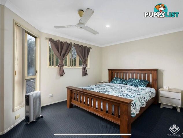 ID:21152890 503 Pine Ridge Road Biggera Waters QLD 4216