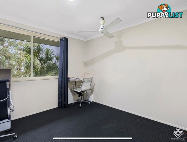 ID:21152890 503 Pine Ridge Road Biggera Waters QLD 4216