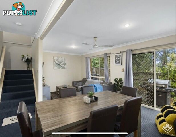 ID:21152890 503 Pine Ridge Road Biggera Waters QLD 4216