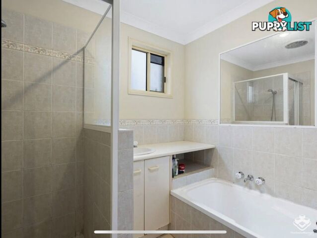 ID:21152890 503 Pine Ridge Road Biggera Waters QLD 4216