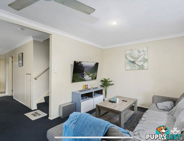 ID:21152890 503 Pine Ridge Road Biggera Waters QLD 4216