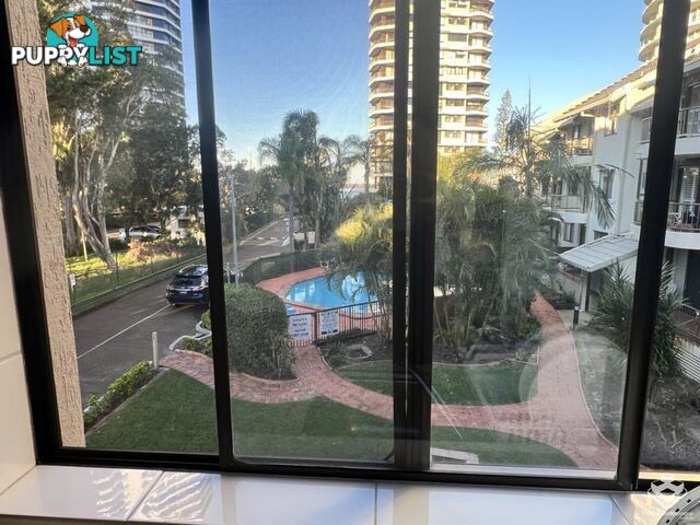 ID:21156625 9 Bayview Street Runaway Bay QLD 4216