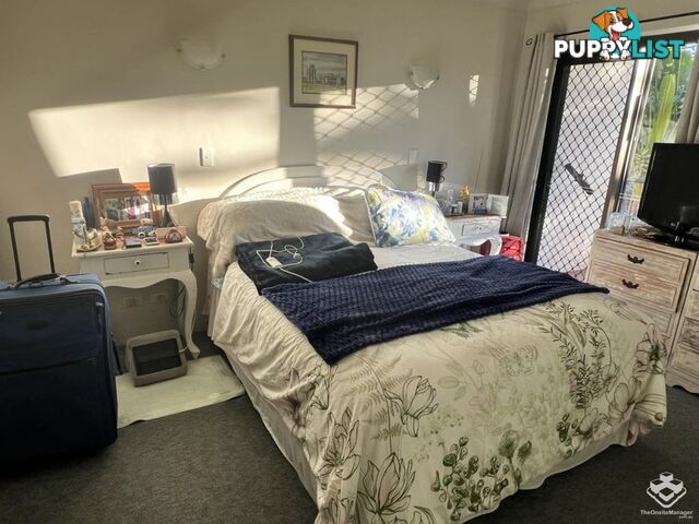 ID:21156625 9 Bayview Street Runaway Bay QLD 4216