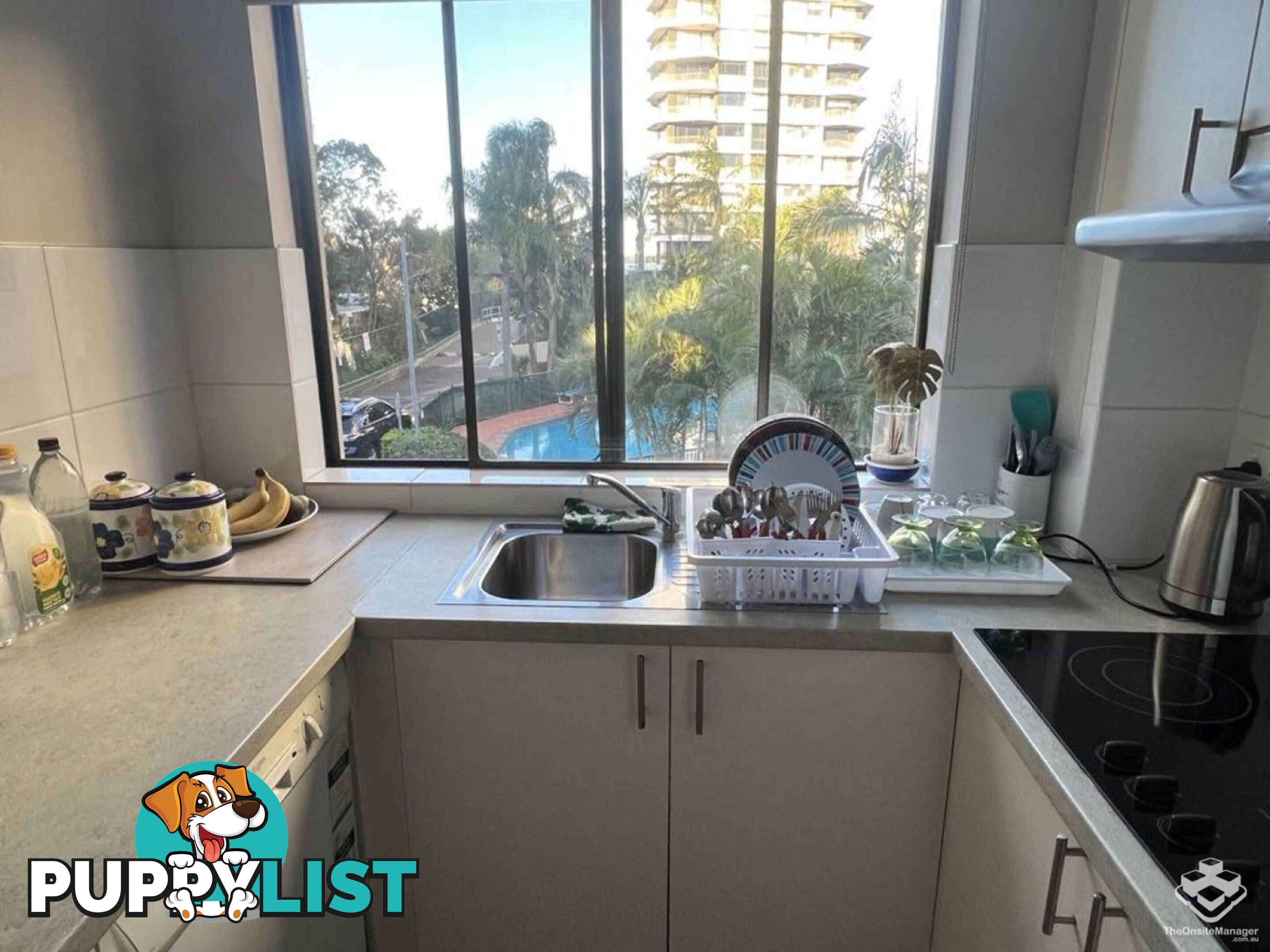 ID:21156625 9 Bayview Street Runaway Bay QLD 4216