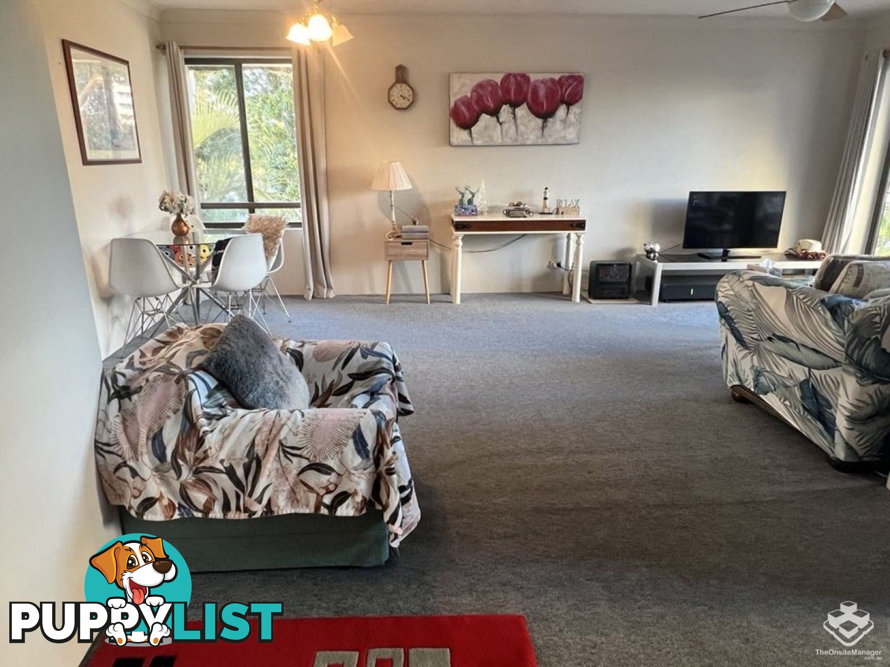ID:21156625 9 Bayview Street Runaway Bay QLD 4216