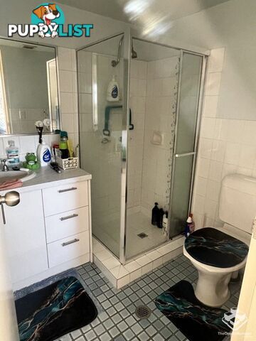 ID:21156625 9 Bayview Street Runaway Bay QLD 4216