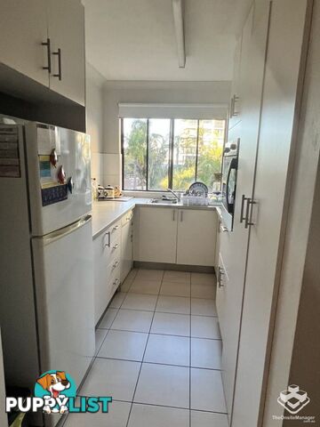 ID:21156625 9 Bayview Street Runaway Bay QLD 4216