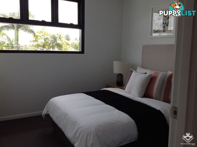 2208/30 Johnston Street Bulimba QLD 4171