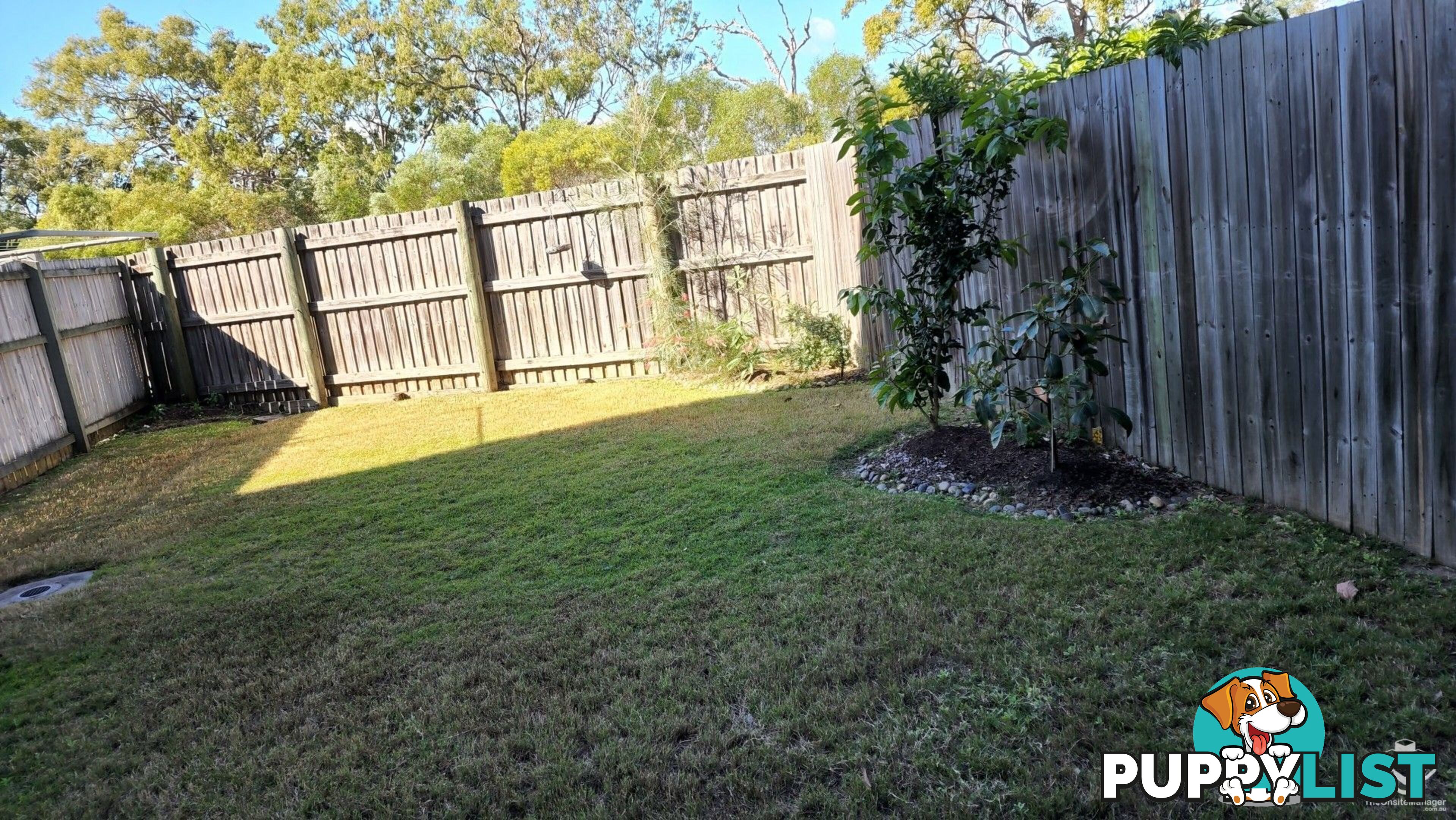 ID:21158306 230 Pulgul Street Urangan QLD 4655