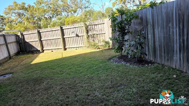 ID:21158306 230 Pulgul Street Urangan QLD 4655