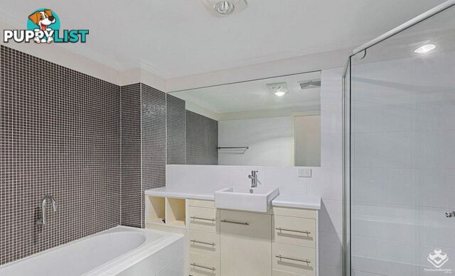 ID:21158306 230 Pulgul Street Urangan QLD 4655