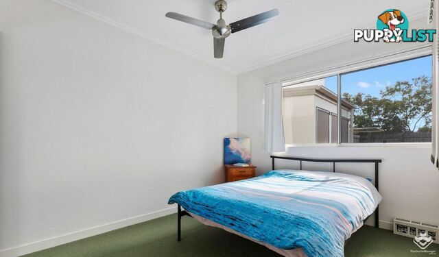 ID:21158306 230 Pulgul Street Urangan QLD 4655