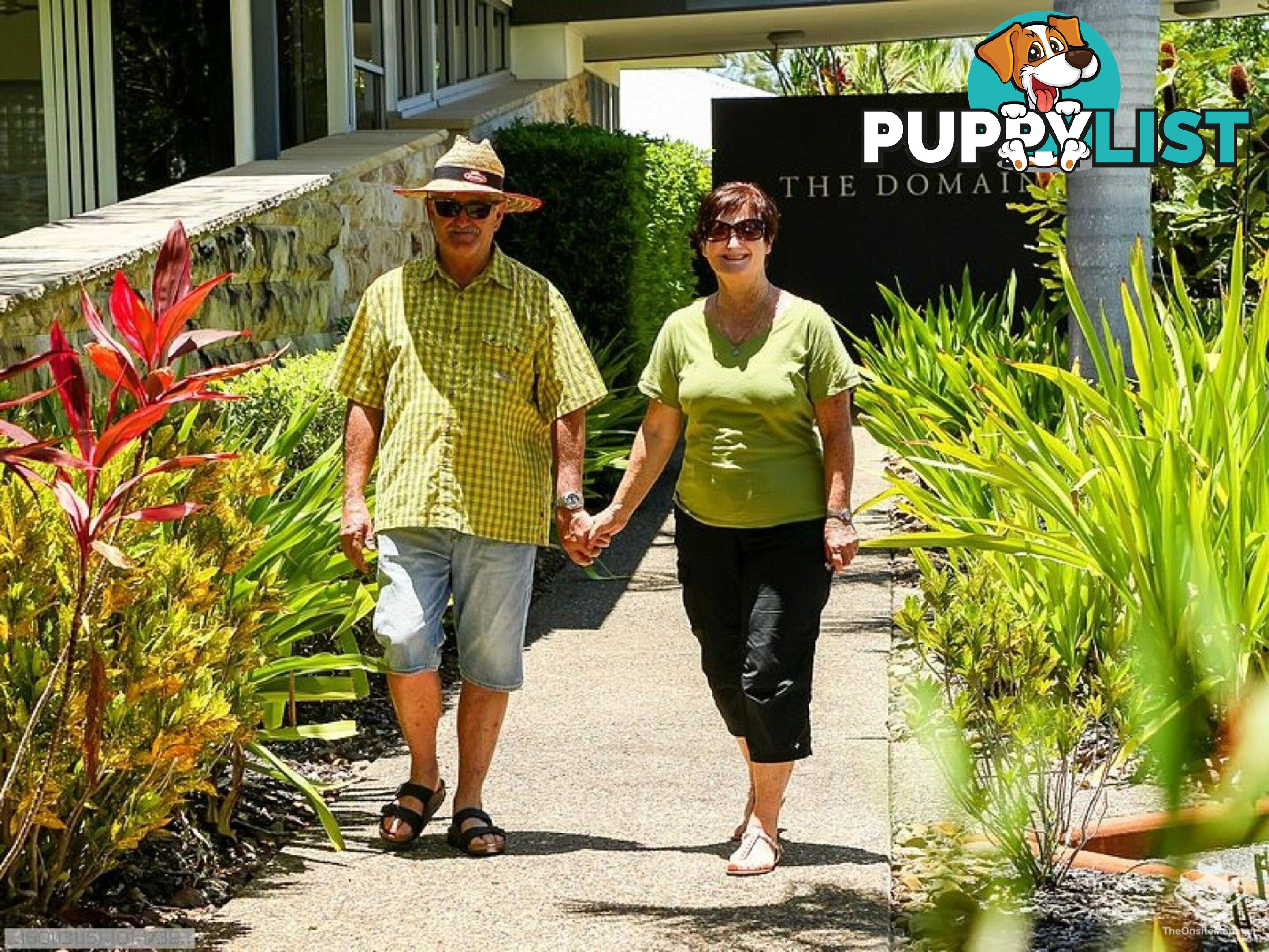 ID:21158306 230 Pulgul Street Urangan QLD 4655