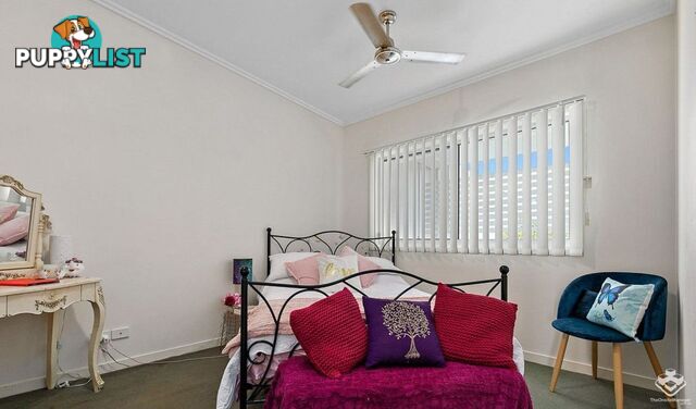 ID:21158306 230 Pulgul Street Urangan QLD 4655