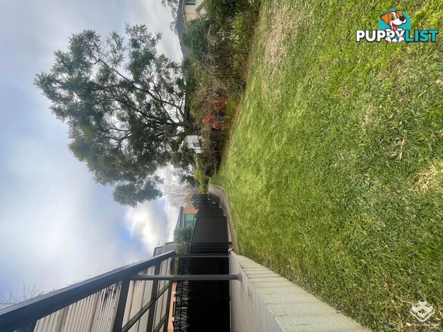 1/16 Milner Avenue Hornsby NSW 2077