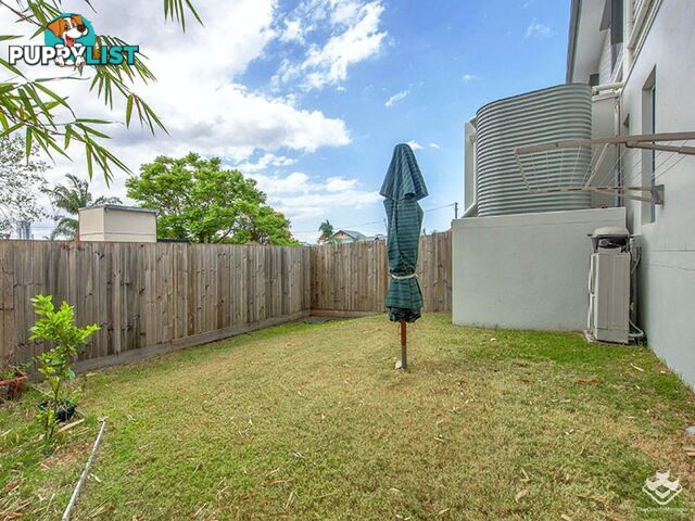 ID:3799437 262A Harcourt Street New Farm qld 4005