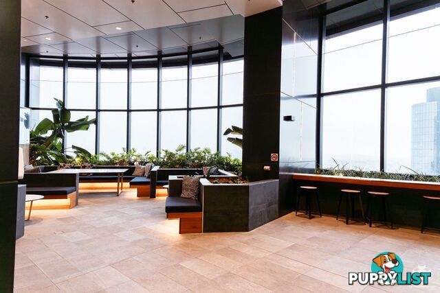 2511/222 Margaret Street Brisbane City QLD 4000
