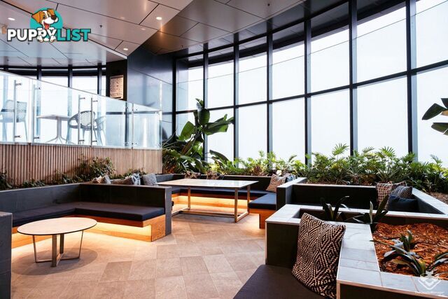 2511/222 Margaret Street Brisbane City QLD 4000