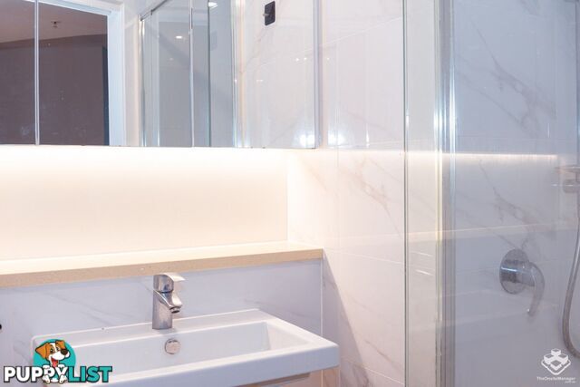 2511/222 Margaret Street Brisbane City QLD 4000