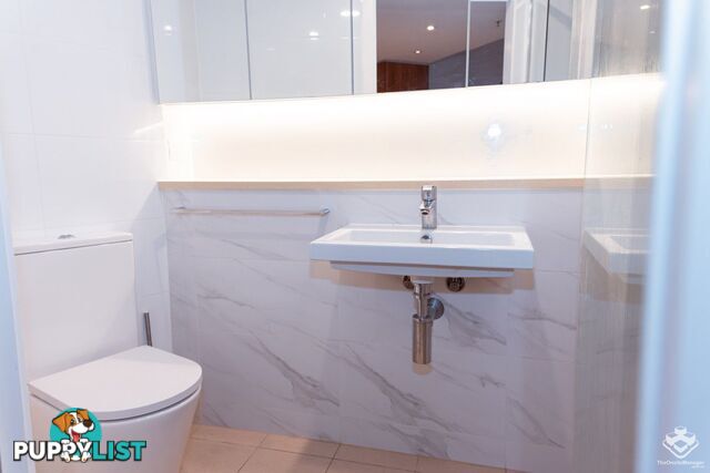2511/222 Margaret Street Brisbane City QLD 4000