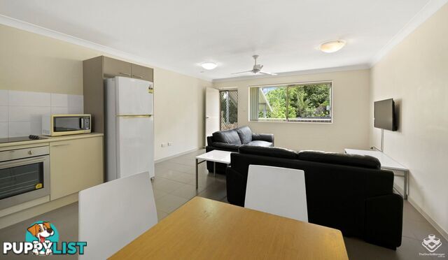 ID:21153150 87 Thorn Street Ipswich QLD 4305