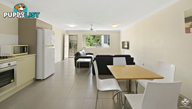 ID:21153150 87 Thorn Street Ipswich QLD 4305