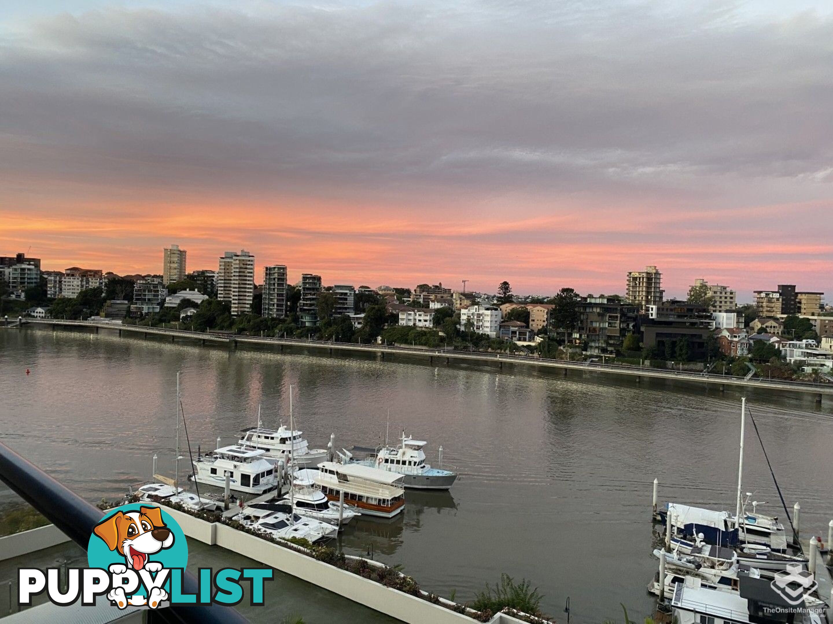 ID:21156298 8 Goodwin Street Kangaroo Point QLD 4169
