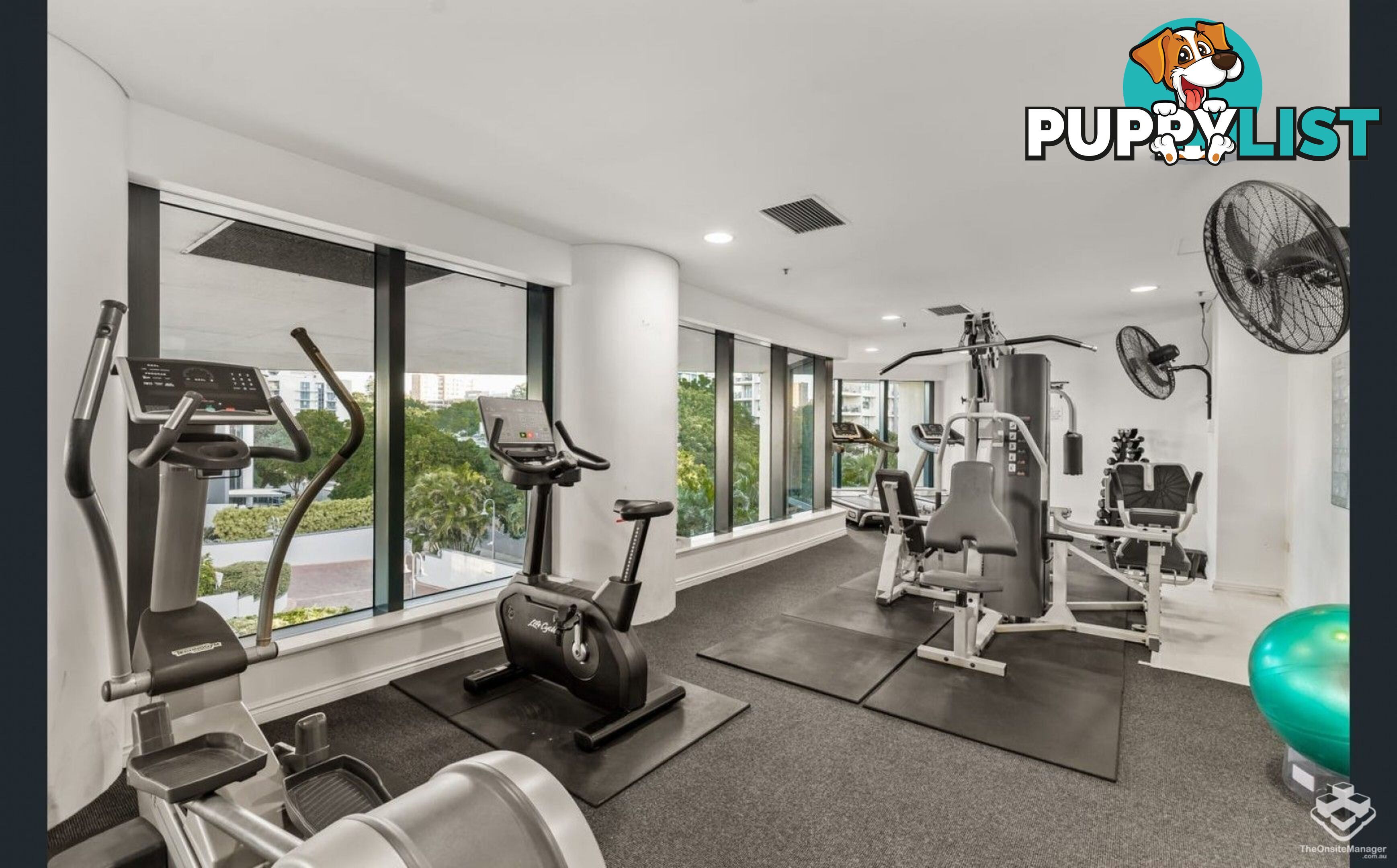 ID:21156298 8 Goodwin Street Kangaroo Point QLD 4169