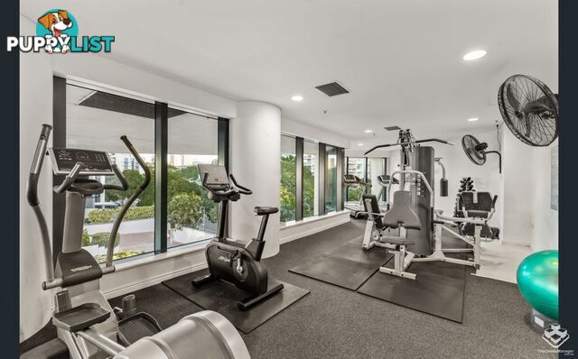 ID:21156298 8 Goodwin Street Kangaroo Point QLD 4169