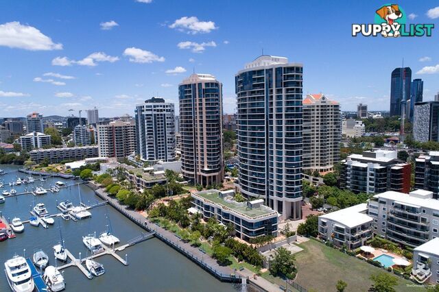 ID:21156298 8 Goodwin Street Kangaroo Point QLD 4169
