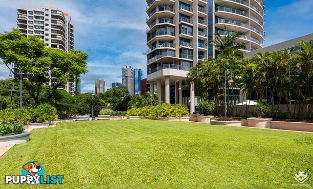 ID:21156298 8 Goodwin Street Kangaroo Point QLD 4169
