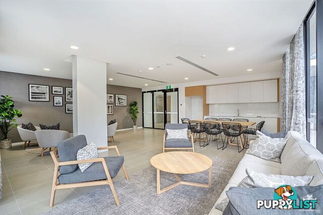 ID:21156438 60 Jefferson Lane Palm Beach QLD 4221