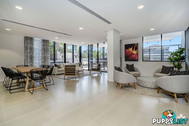 ID:21156438 60 Jefferson Lane Palm Beach QLD 4221