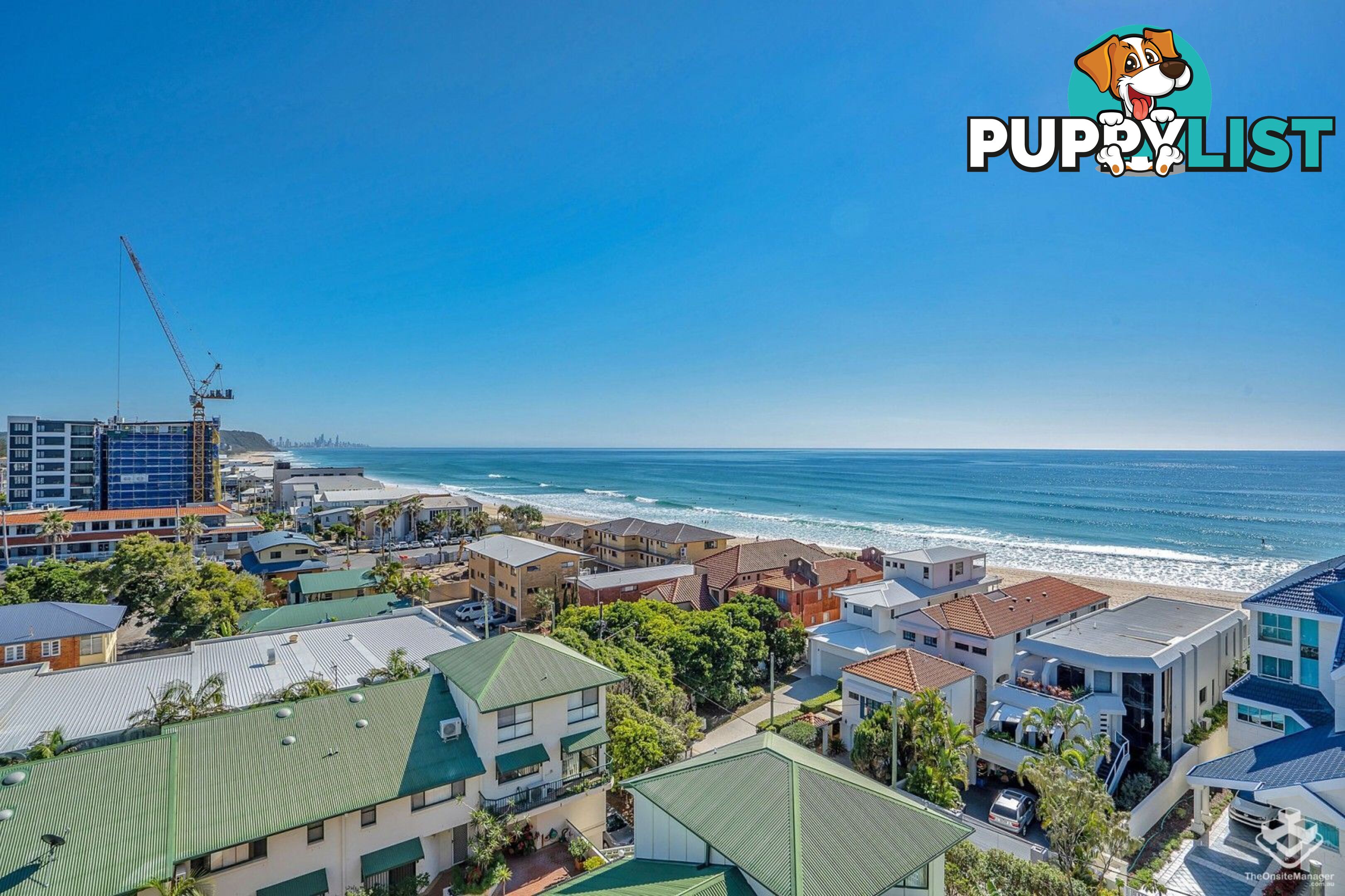 ID:21156438 60 Jefferson Lane Palm Beach QLD 4221