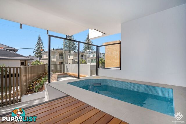 ID:21156438 60 Jefferson Lane Palm Beach QLD 4221