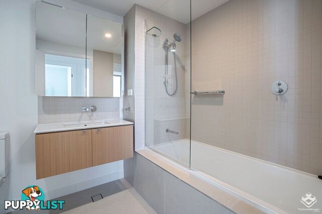 ID:21156438 60 Jefferson Lane Palm Beach QLD 4221