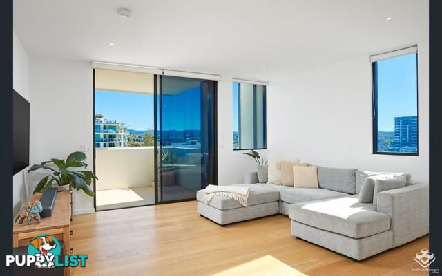 ID:21156438 60 Jefferson Lane Palm Beach QLD 4221