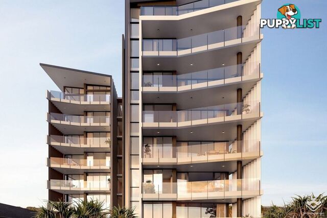 ID:21156438 60 Jefferson Lane Palm Beach QLD 4221