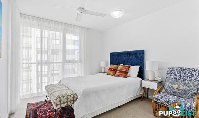 ID:21158194 378 Marine Parade Labrador QLD 4215