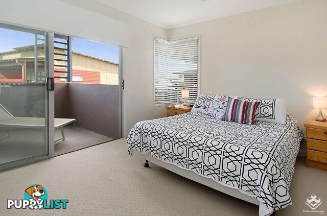 U24 / 123 Barrack Road Cannon Hill QLD 4170