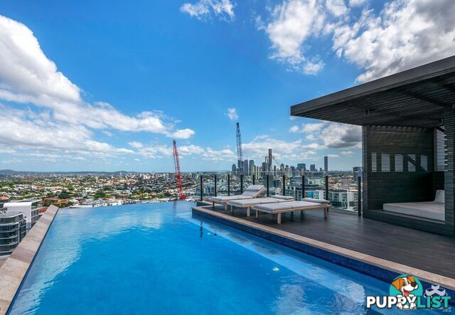 ID:21154249 12 Cunningham Street Newstead QLD 4006