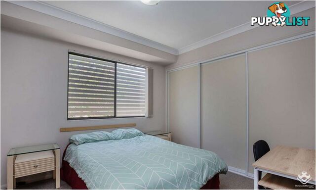 19/6 Omeo Street Macgregor QLD 4109