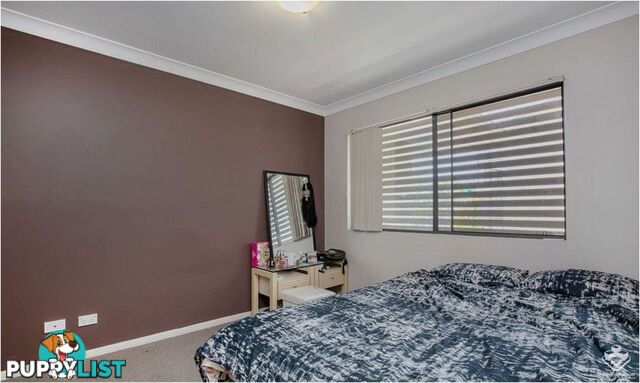 19/6 Omeo Street Macgregor QLD 4109