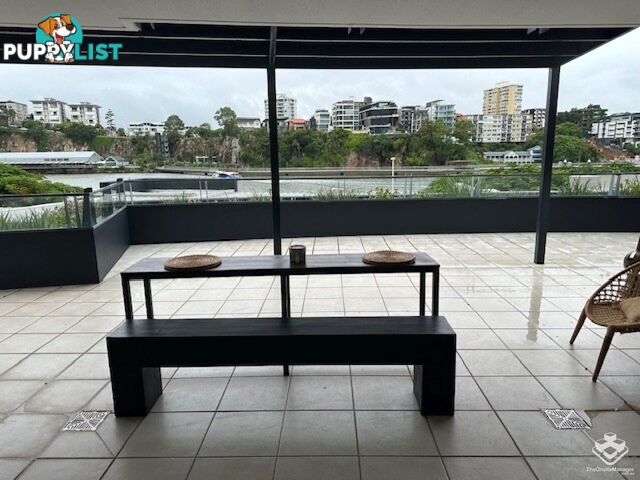 ID:3723889/ No 1 Holman Street KANGAROO POINT QLD 4169