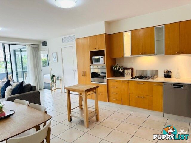 ID:3723889/ No 1 Holman Street KANGAROO POINT QLD 4169