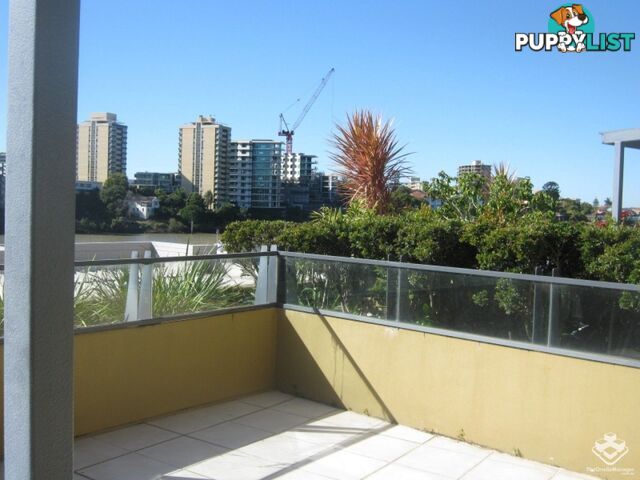 ID:3723889/ No 1 Holman Street KANGAROO POINT QLD 4169