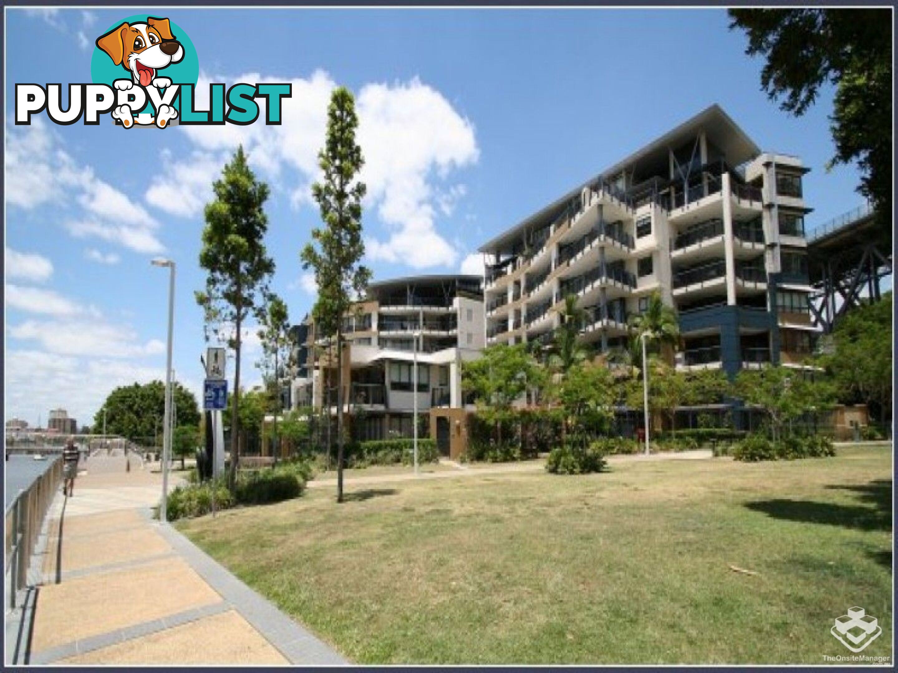 ID:3723889/ No 1 Holman Street KANGAROO POINT QLD 4169